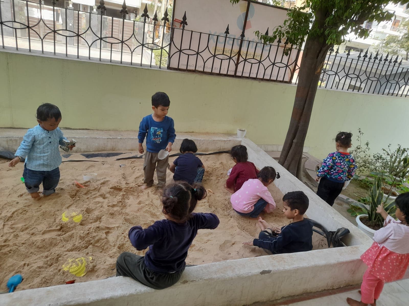Eight children digging and pouring in an outdoor sand pit under a tree